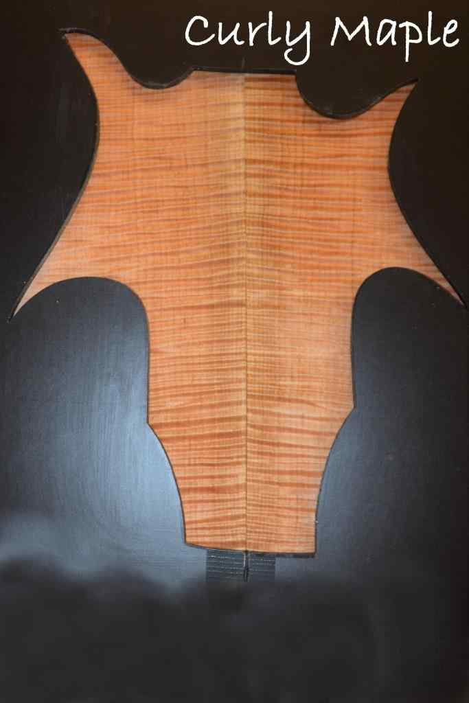 curla maple 5