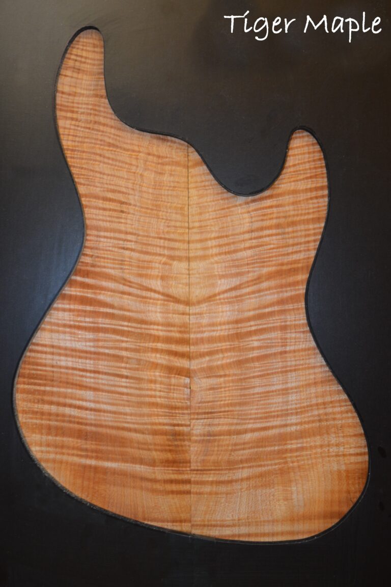 tiger maple