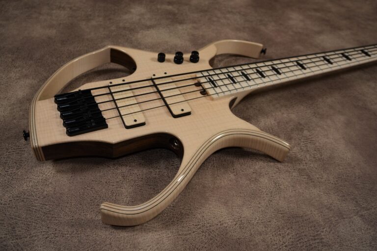 10 stega deluxe 5 cordes