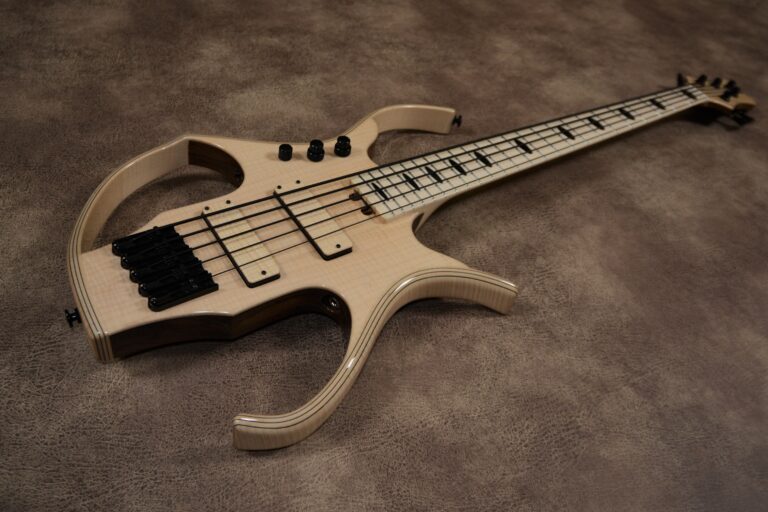 8 stega deluxe 5 cordes