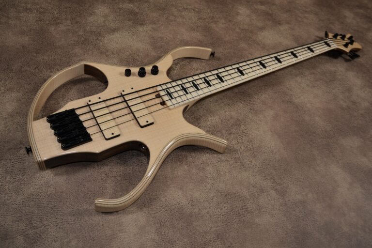9 stega deluxe 5 cordes