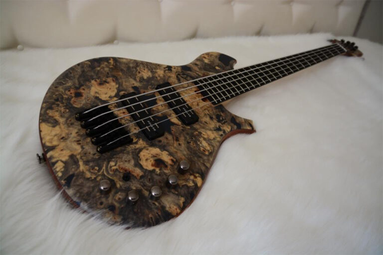 Gabriella S 5 cordes 1