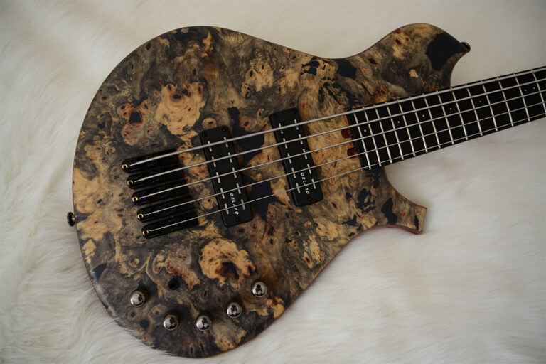 Gabriella S 5 cordes 2