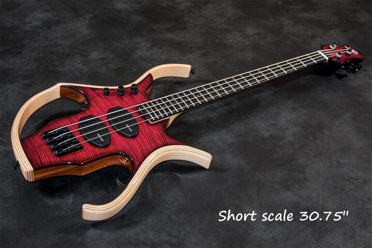 Stega Deluxe 4 cordes 12