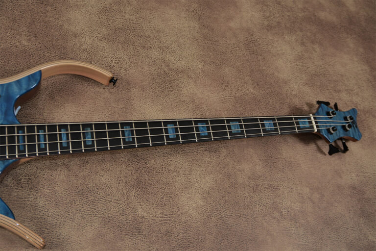 Stega Deluxe 4 cordes 15