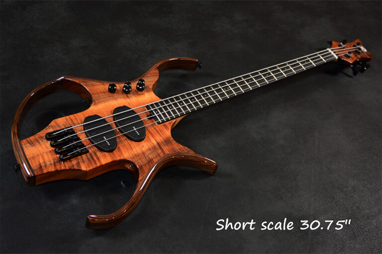 Stega Deluxe 4 cordes 5