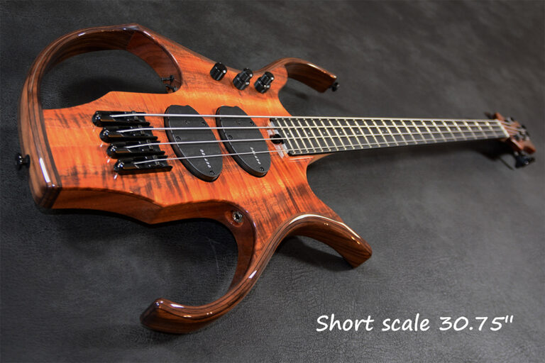 Stega Deluxe 4 cordes 6