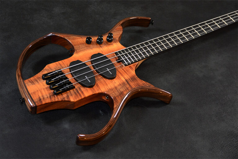 Stega Deluxe 4 cordes 7