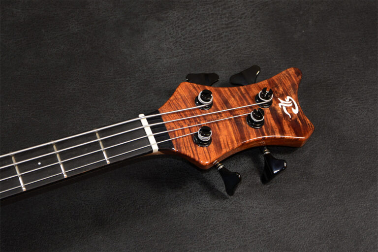 Stega Deluxe 4 cordes 8