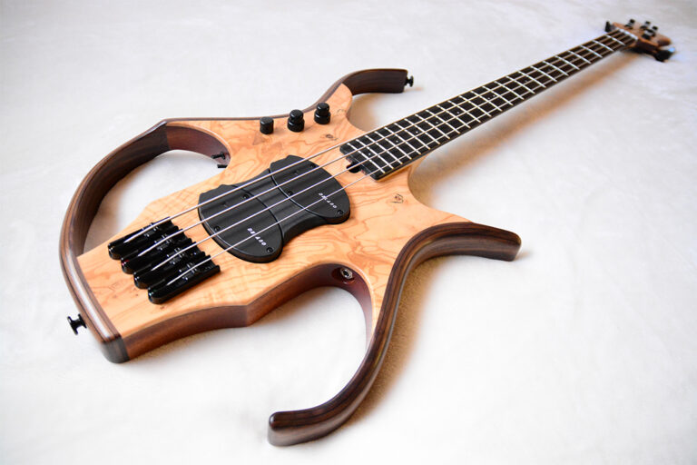Stega Deluxe 4 cordes 9