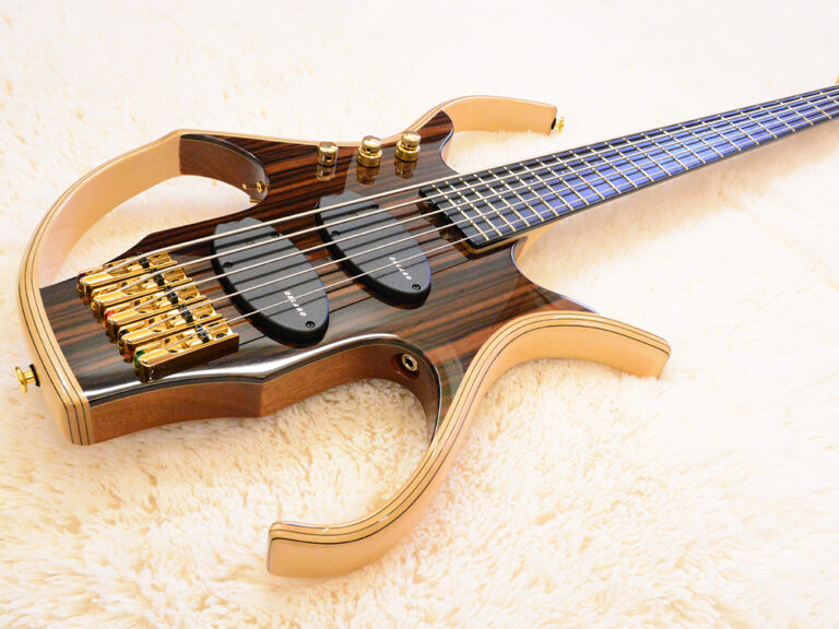 Stega Deluxe 5 cordes 11