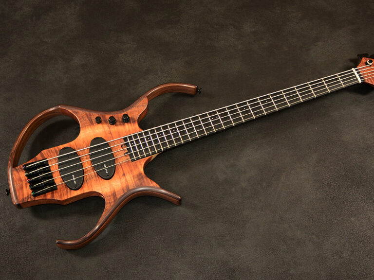 Stega Deluxe 5 cordes 15