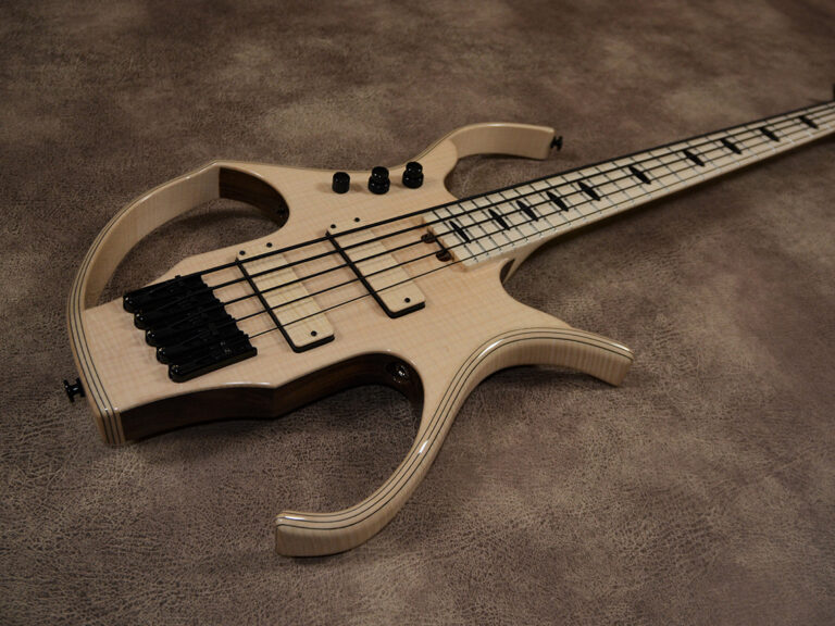 Stega Deluxe 5 cordes 8