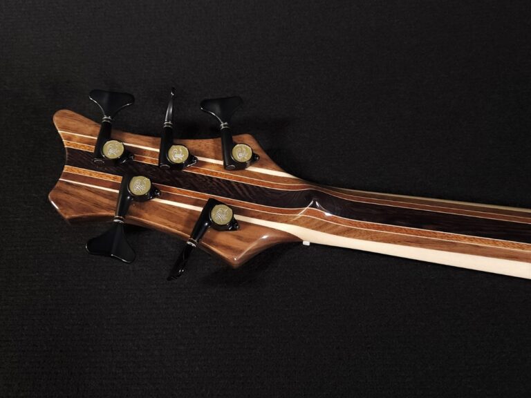 Stega Deluxe 5 cordes 9