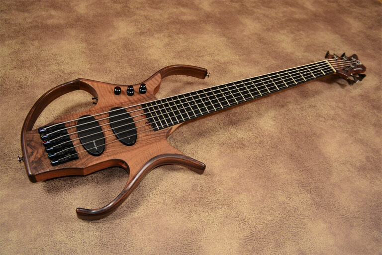 Stega Deluxe 6 cordes 3