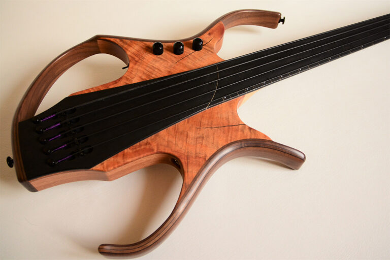 Stega Deluxe Fretless 12