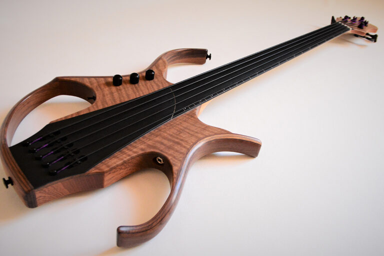 Stega Deluxe Fretless 13