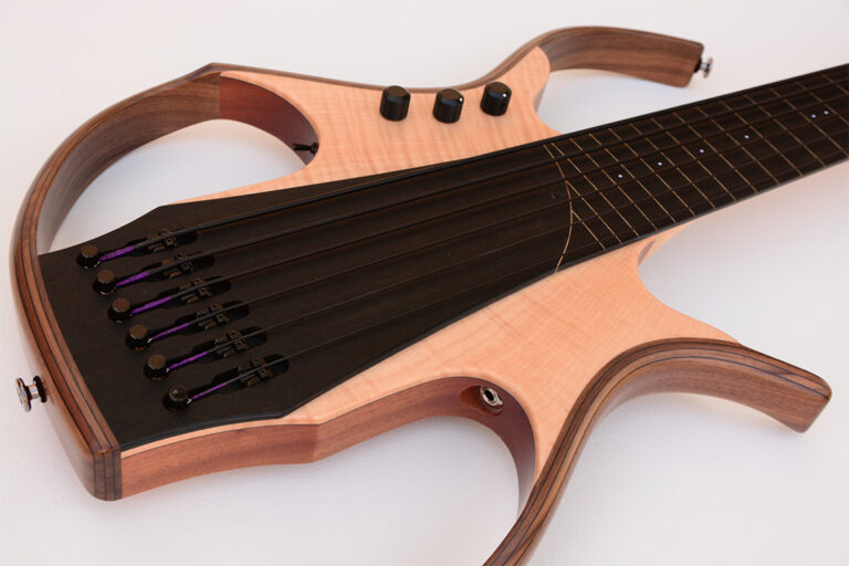Stega Deluxe Fretless 16