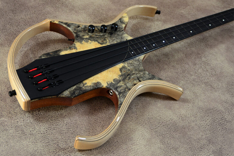 Stega Deluxe Fretless 3