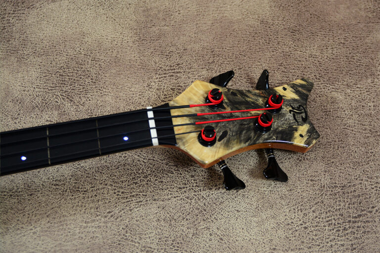 Stega Deluxe Fretless 4