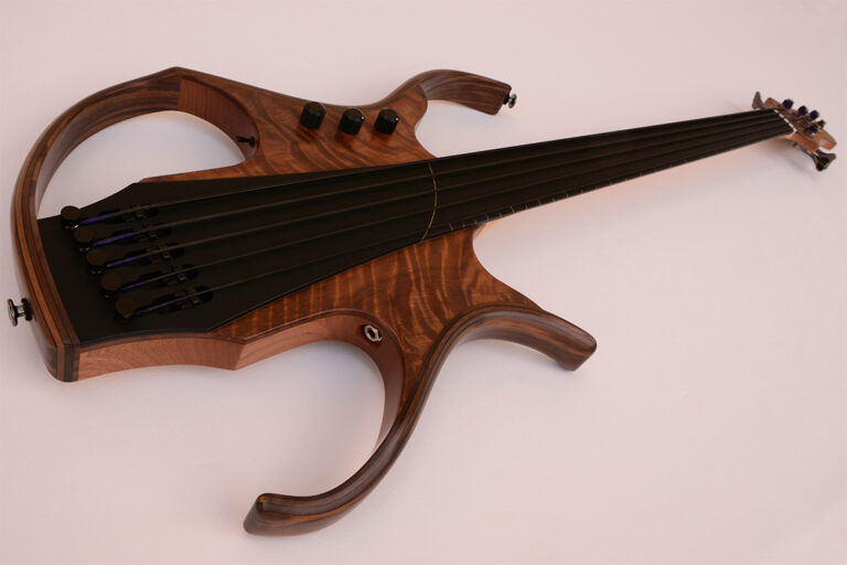Stega Deluxe Fretless 5