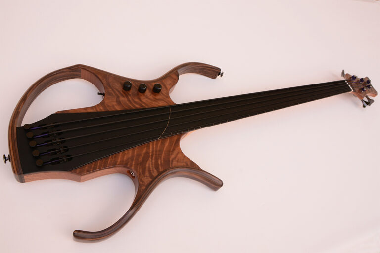 Stega Deluxe Fretless 6