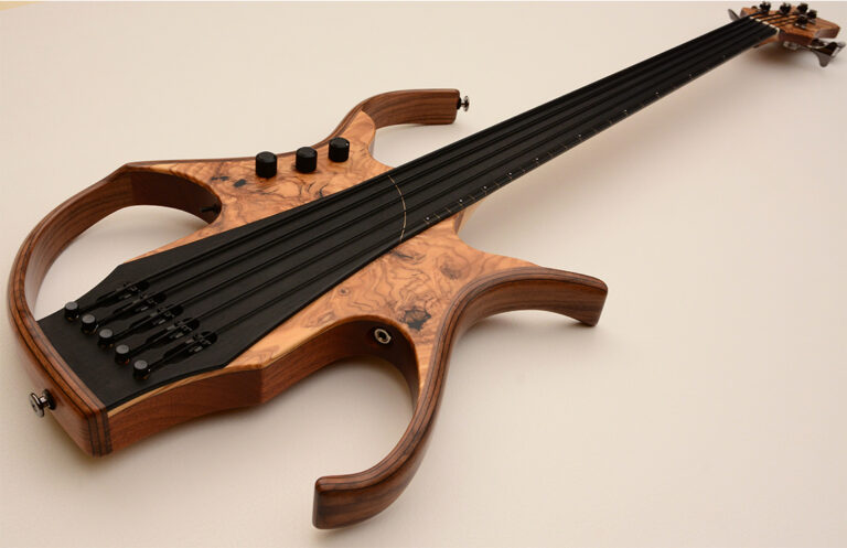 Stega Deluxe Fretless 8