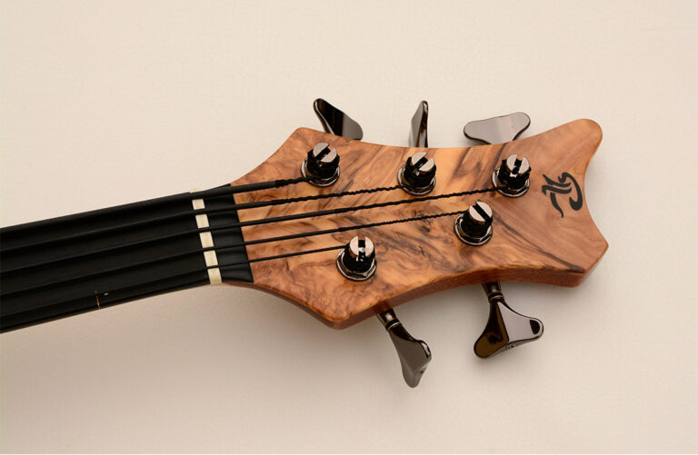 Stega Deluxe Fretless 9