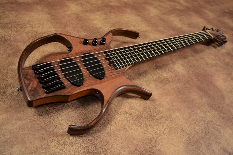 1 Stega deluxe 6 cordes