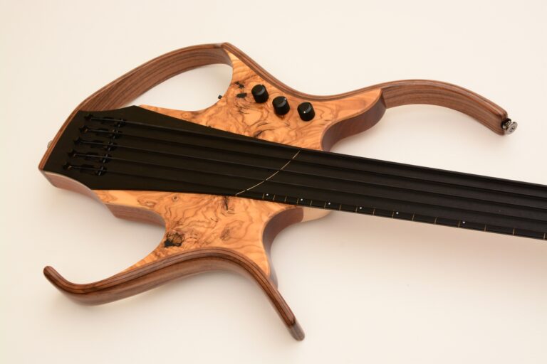 10 Stega deluxe fretless