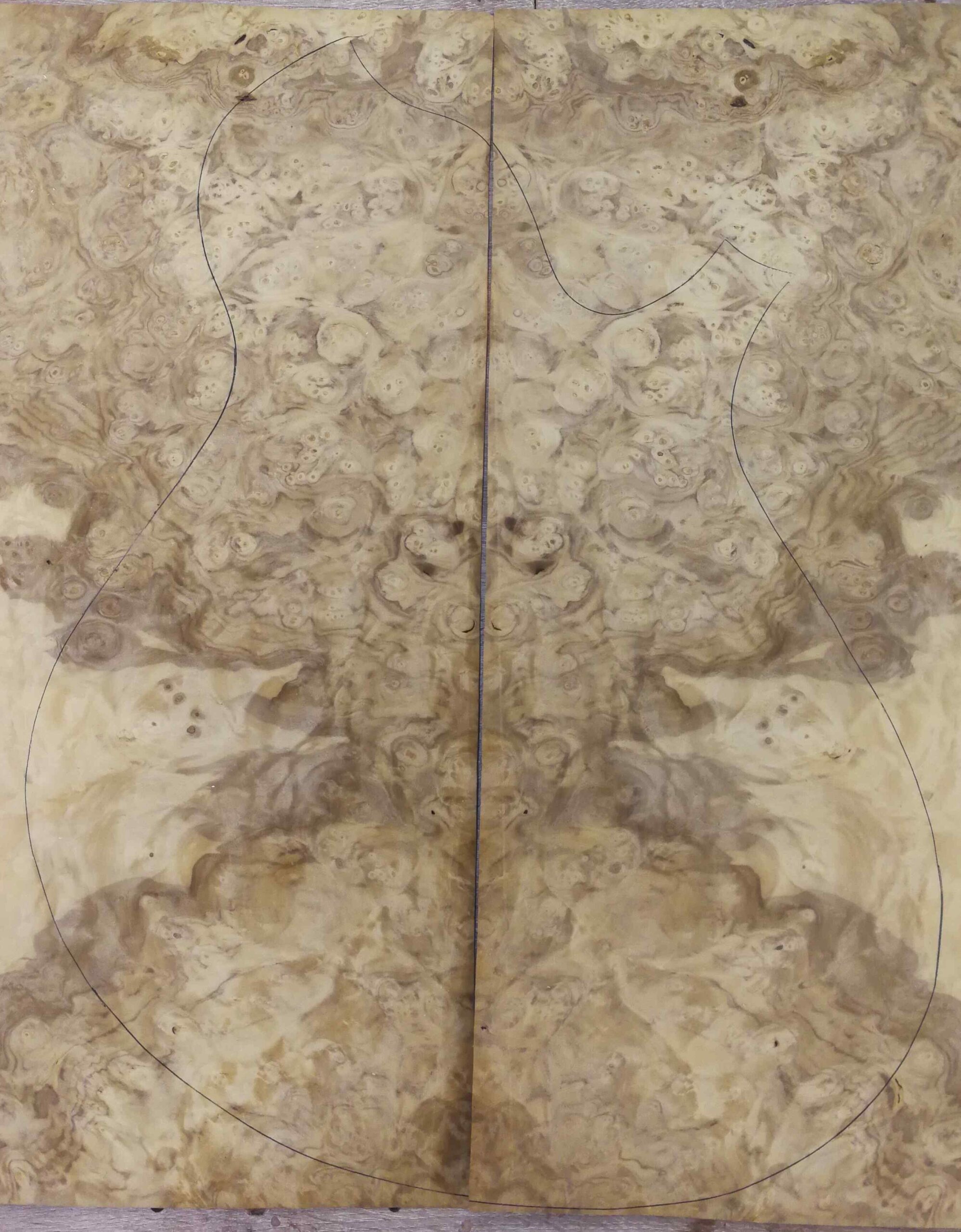 107 MYRTLE BURL