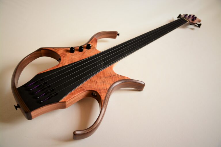 11 Stega deluxe fretless