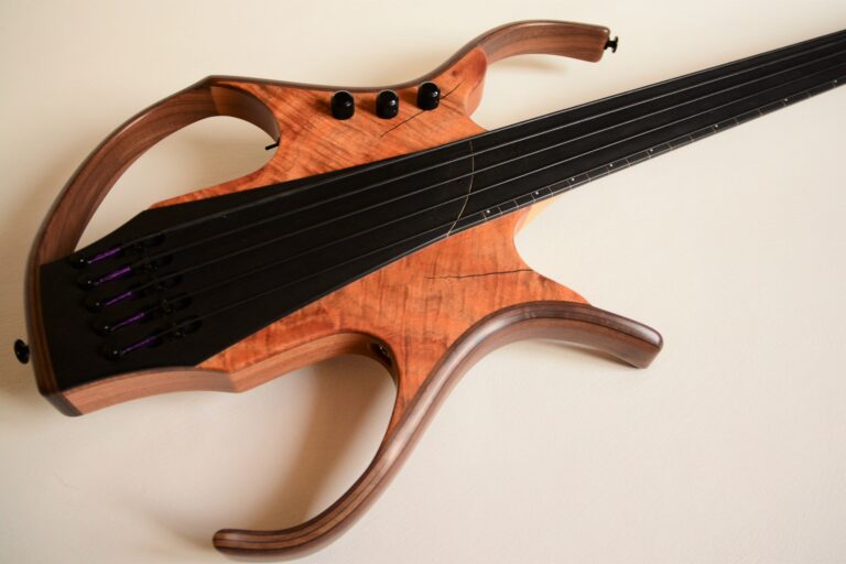 12 Stega deluxe fretless