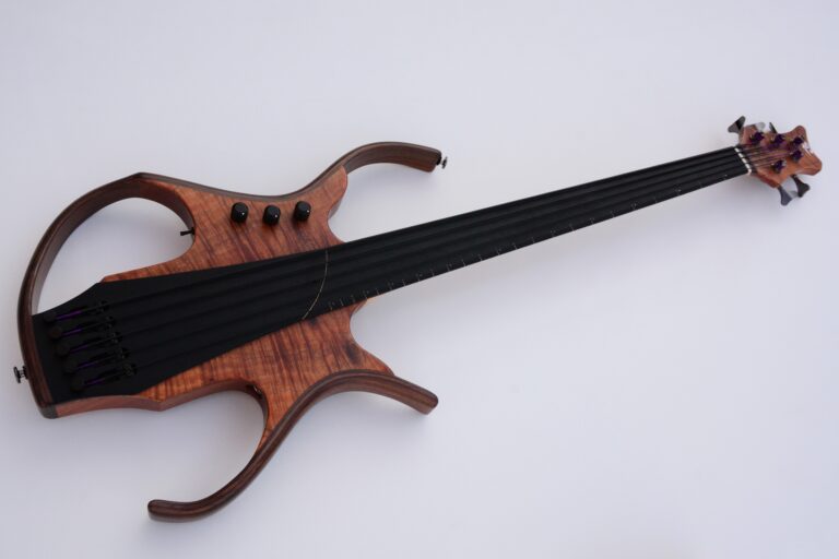 14 Stega deluxe fretless