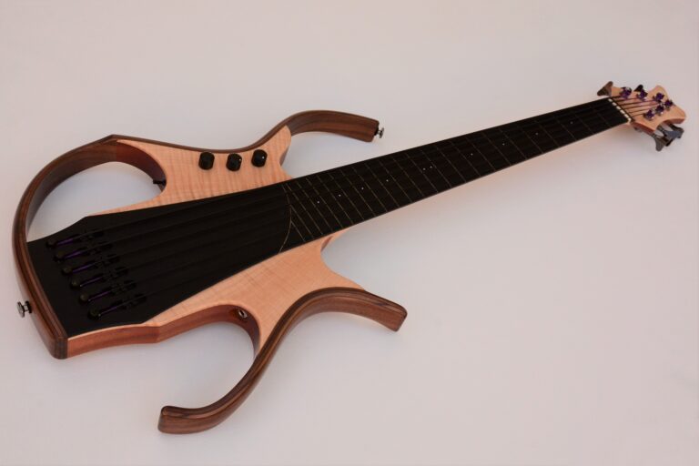 15 Stega deluxe fretless