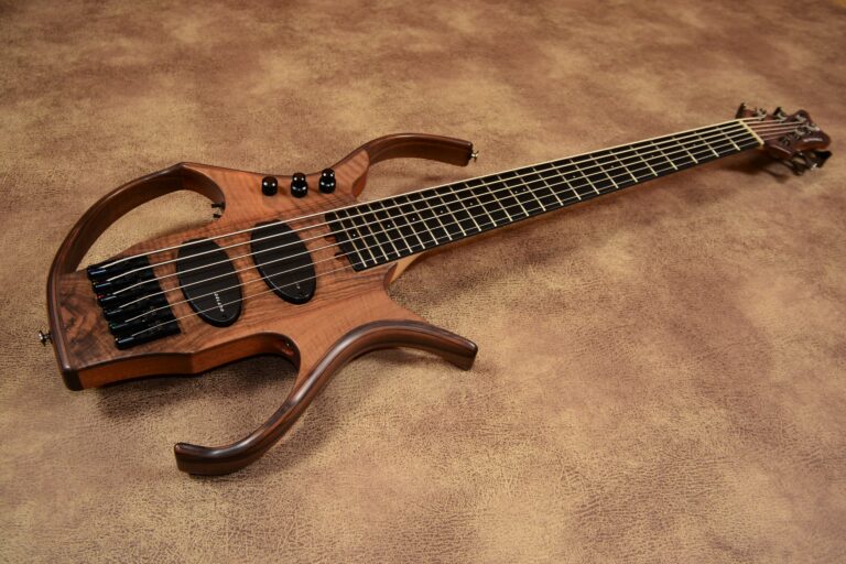 2 Stega deluxe 6 cordes