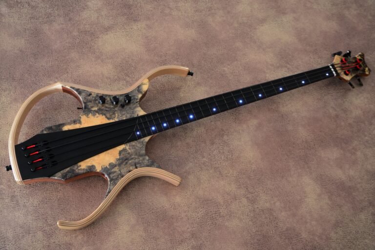 2 Stega deluxe fretless