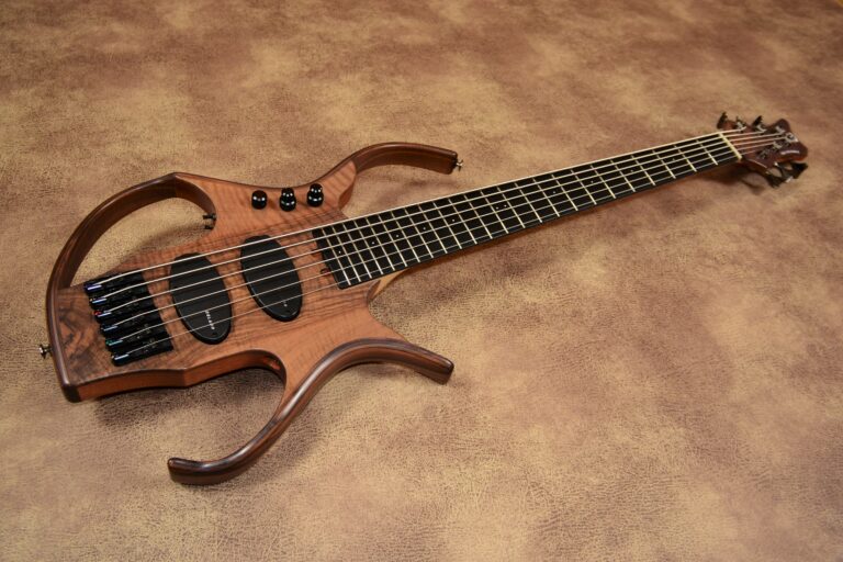 3 Stega deluxe 6 cordes