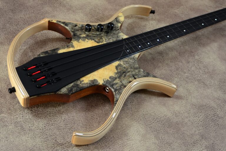 3 Stega deluxe fretless
