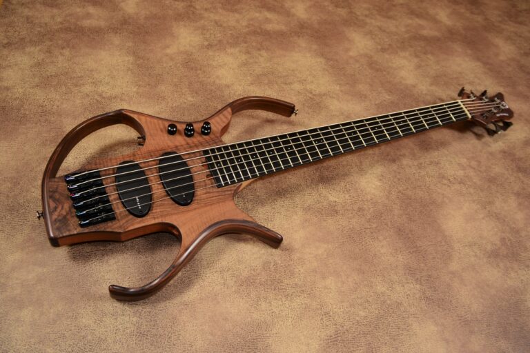 4 Stega deluxe 6 cordes