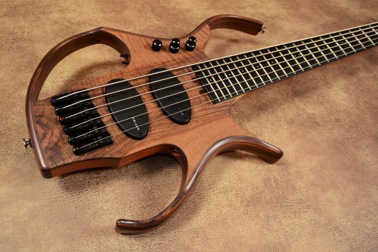 5 Stega deluxe 6 cordes