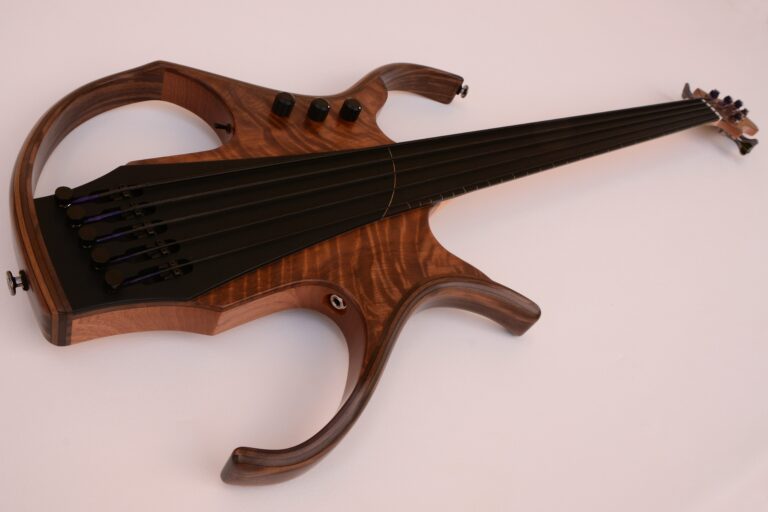 5 Stega deluxe fretless