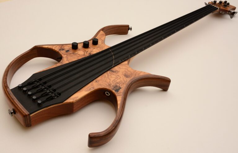8 Stega deluxe fretless