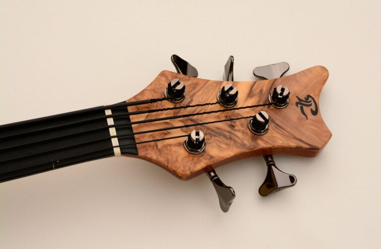 9 Stega deluxe fretless