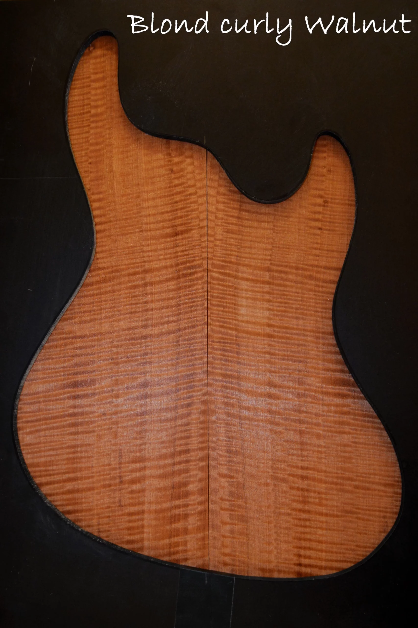 247blod curly walnut