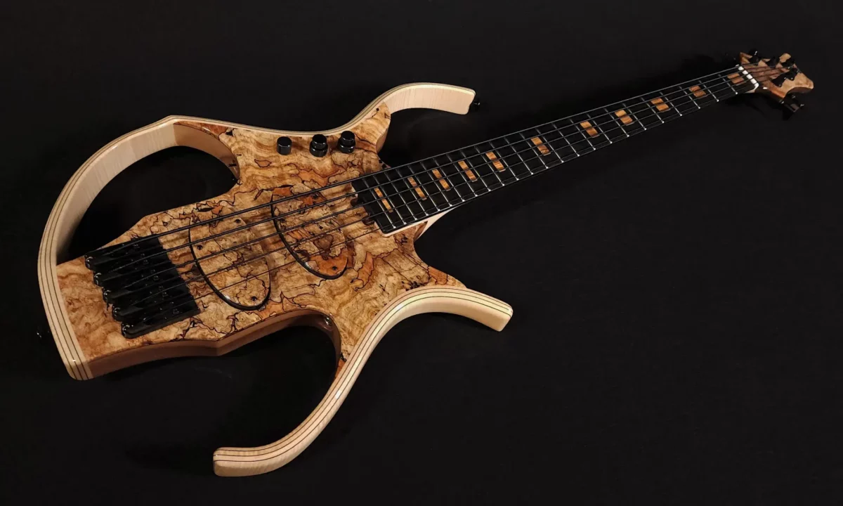 Stega Deluxe 5 S spalted maple top