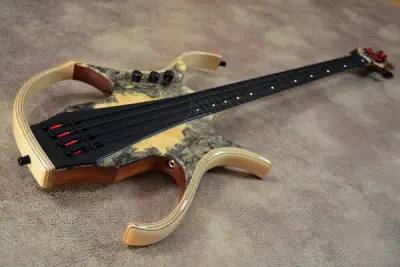 1 fretless stega