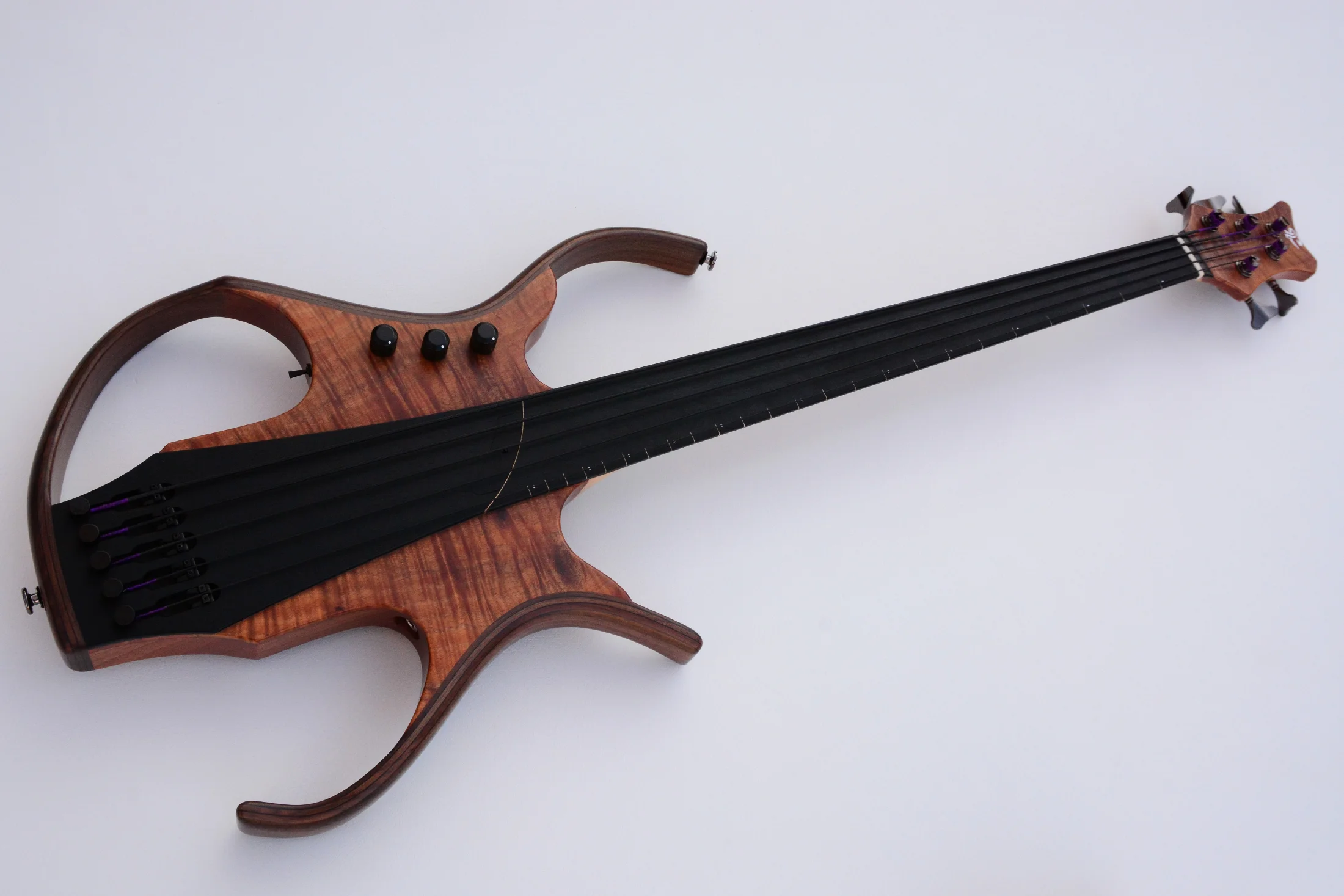 15 stega fretless